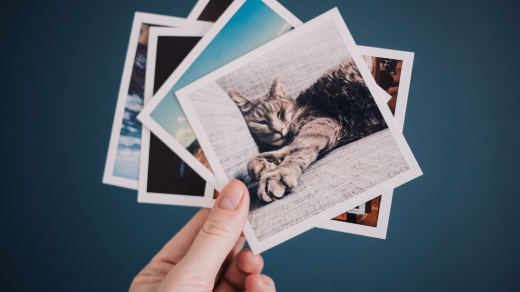 Using Stock Photos in Social Media Design